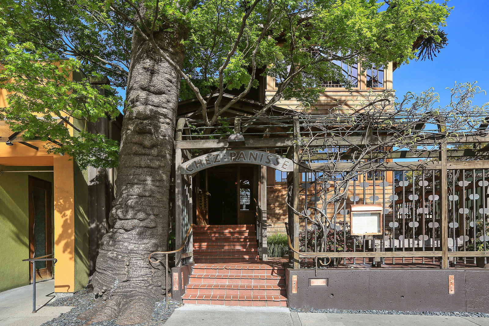 Cover Image for 515 Boynton Avenue presented by Richard Kim